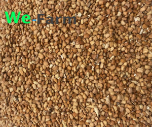 BEANS (DRUM) per 50kg bag