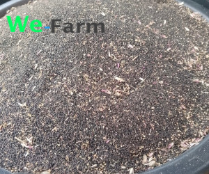 NATIVE GREEN LEAF SEED (per 4L paint rubber)
