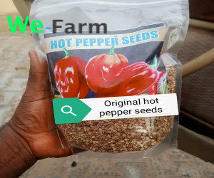 PEPPER SEED