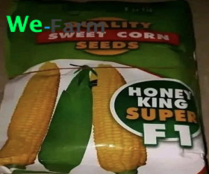 SWEET CORN SEEDS - Honey King Super F1