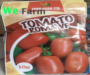 TOMATO SEED (ROMA VF) 10g